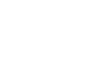 Nextwaves Logo